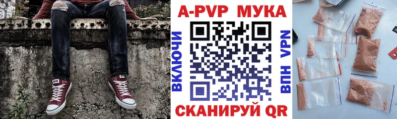 А ПВП СК КРИС KRAKEN ТОР Костомукша