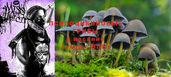 метамфетамин Абаза
